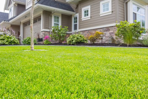 Residential-Lawn-Care-Federal-Way-WA