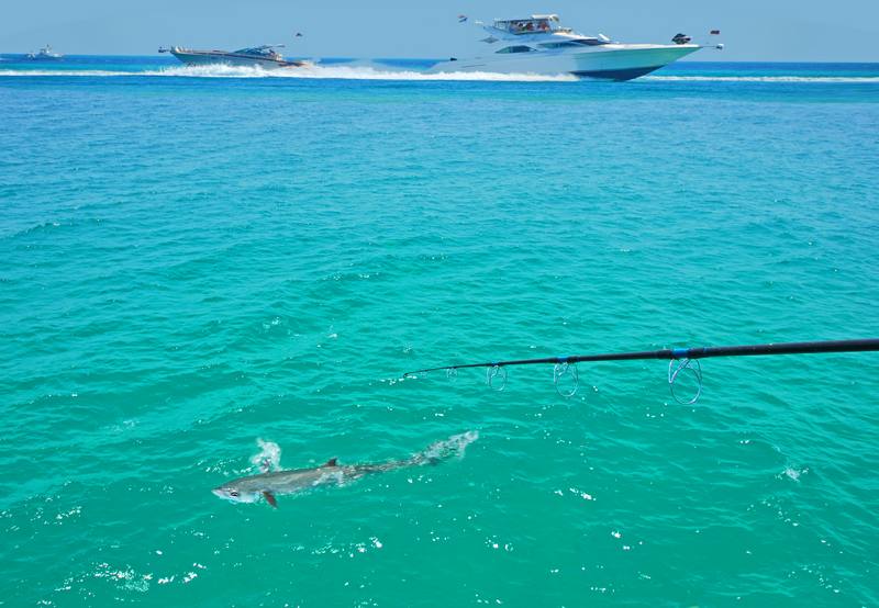 Fishing-Charter-Miami-Gardens-FL