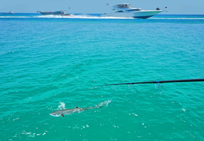 Florida-Fishing-Highland-Beach-FL