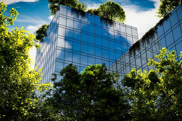 CSR-Management-Los-Angeles-CA