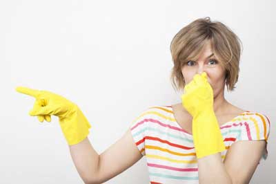Expert Warm Beach odor removal in WA near 98292