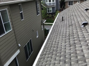 Affordable Snohomish County Gutter Guard Installation in WA near 98012