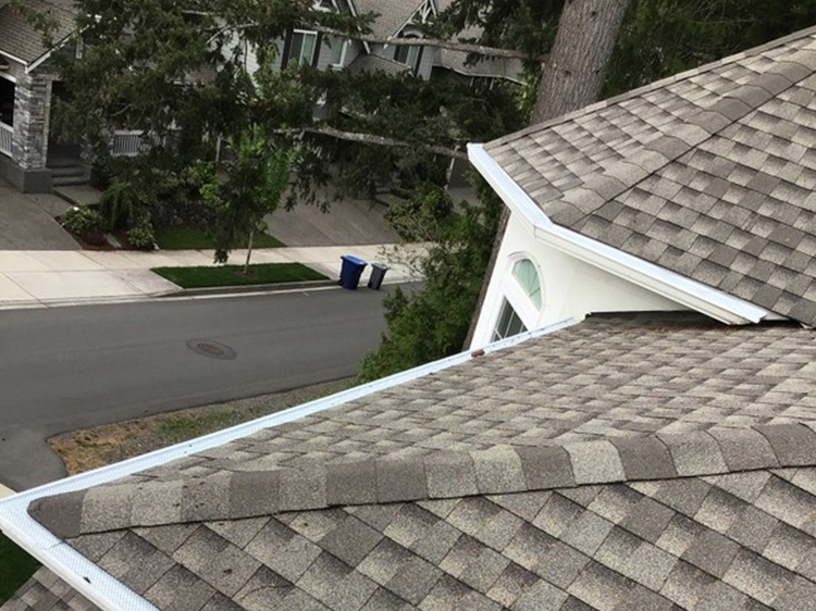 Lowell Repair Gutters Locally in WA near 83704